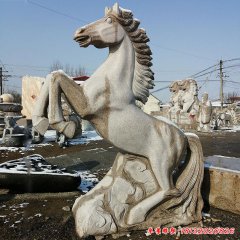 城市動物石雕馬